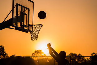 九游登录入口-扣篮最多的球员谁是飞天巨星，nba扣篮最多的球员