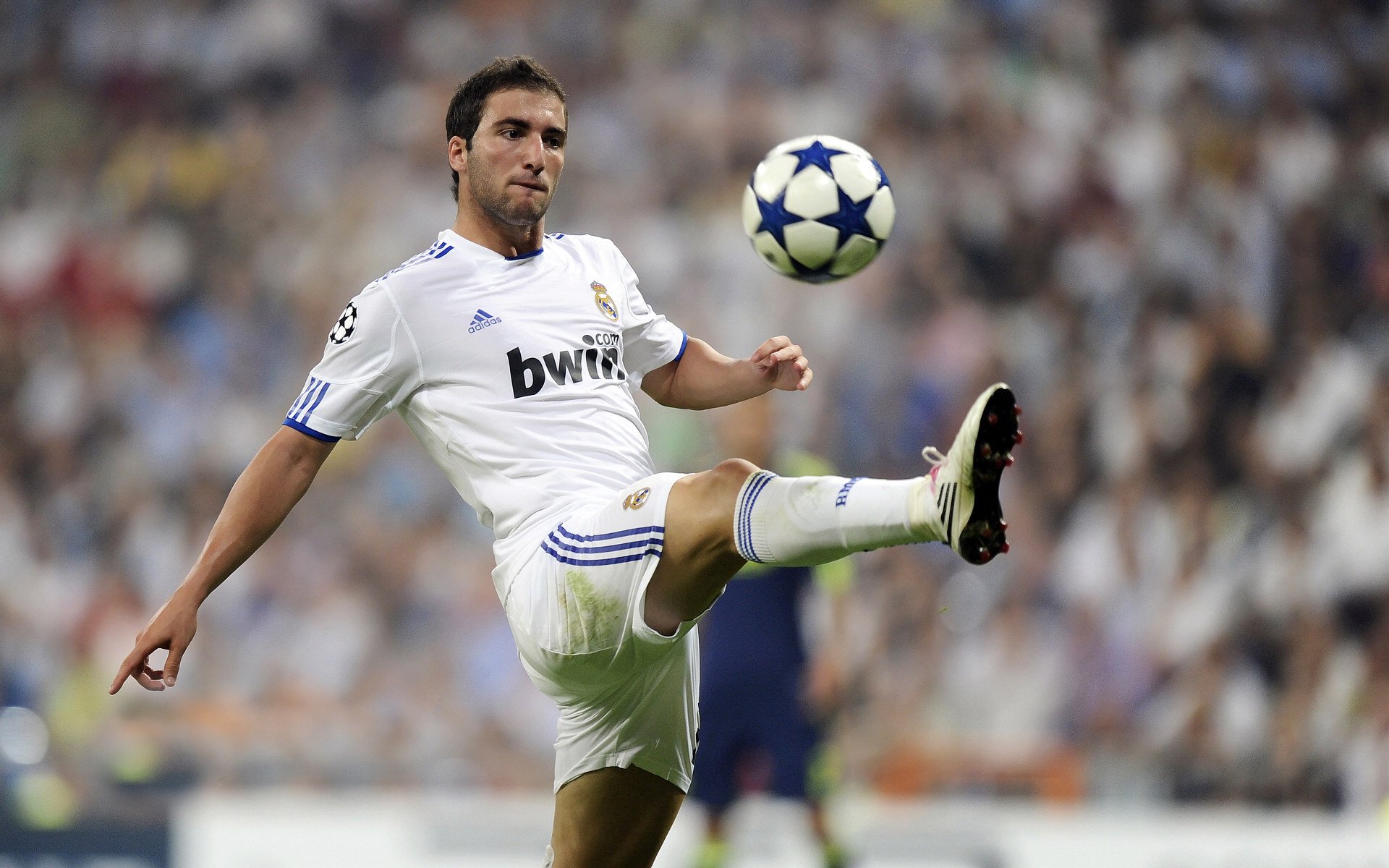 “德甲新星闪耀：年轻力冲击联赛榜首”，德甲青训